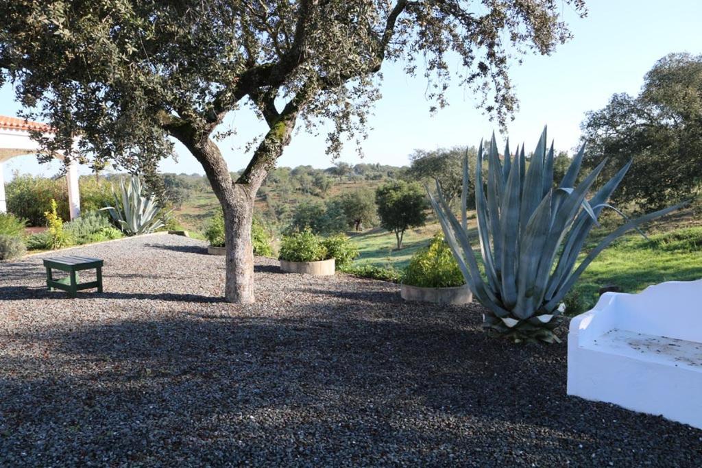 Monte Novo Da Sobreira, Rust En Ruimte In Zuid Alentejo Leilighet Ourique Eksteriør bilde