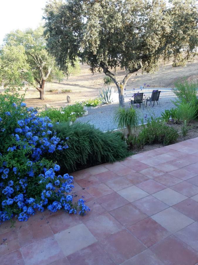 Monte Novo Da Sobreira, Rust En Ruimte In Zuid Alentejo Leilighet Ourique Eksteriør bilde